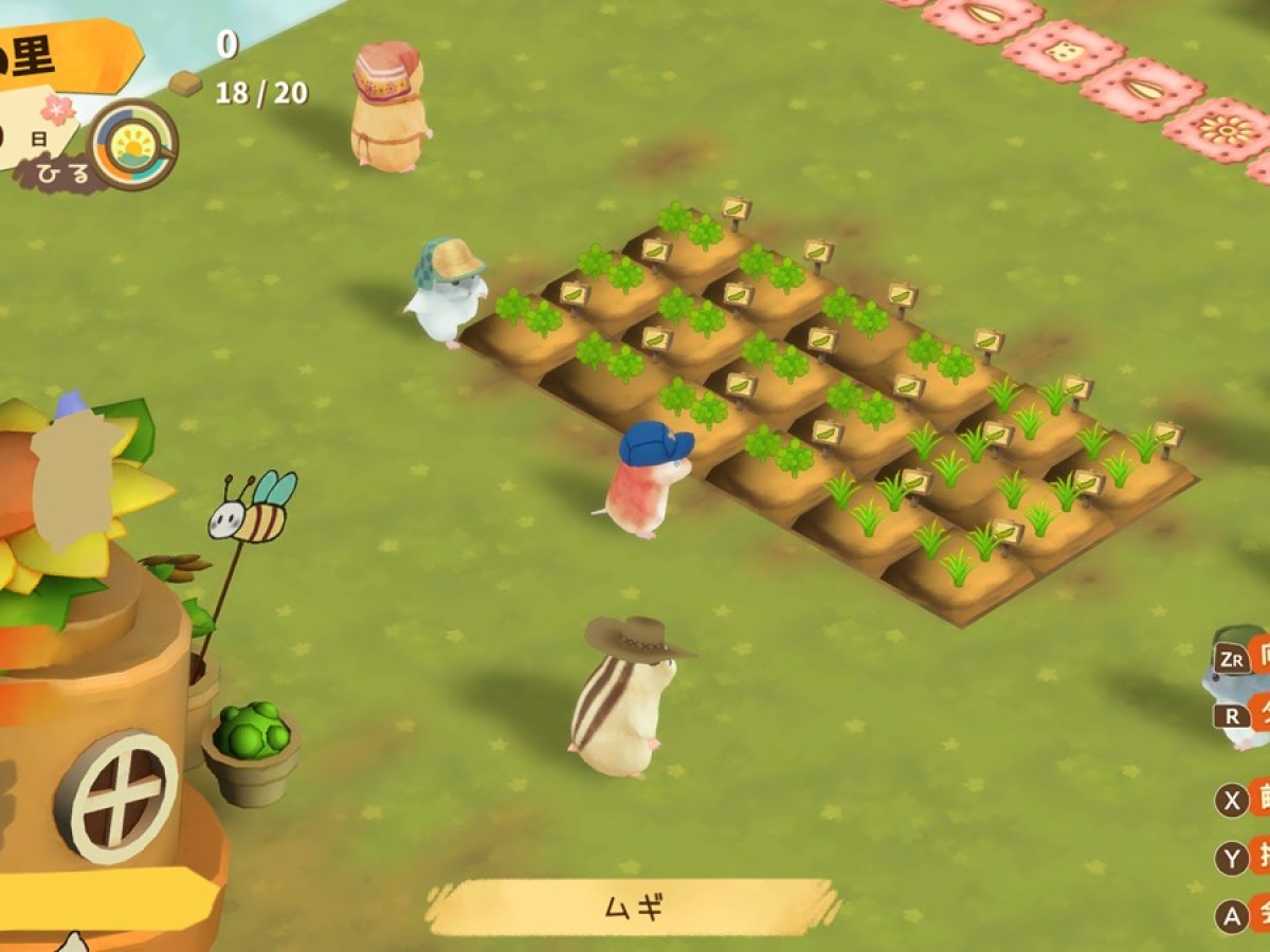 Switch 箱庭開拓 ハムスターと太陽の里 Amazon.co.jp: 箱庭開拓 ハムスターと太陽の里 里のおみやげ