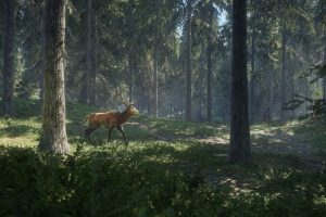 thehunter-20241009-313805-header