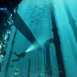 weldiver-20241106-317052-header