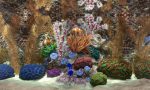 aquarium-simulator-20250114-325226-header