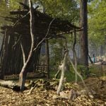 bushcraft-20250121-326030-header