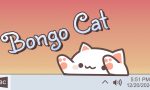 bongocat-20250206-327596-header