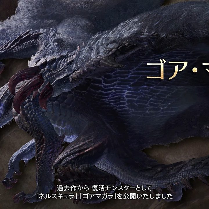 モンスターハンター　ゴア•マガラ　クリアカラー　非売品懸賞品 CFB CUBE 4体セットボックス(ゴア・マガラ/奇しき赫耀の