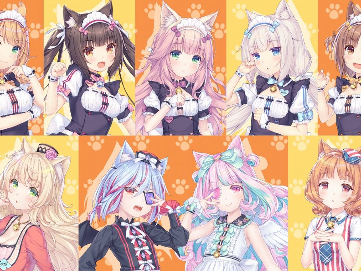 ネコぱら』シリーズ新作『ネコぱら セカイコネクト』リリースに向け