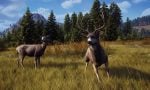 way-of-the-hunter-20250611-343856-header