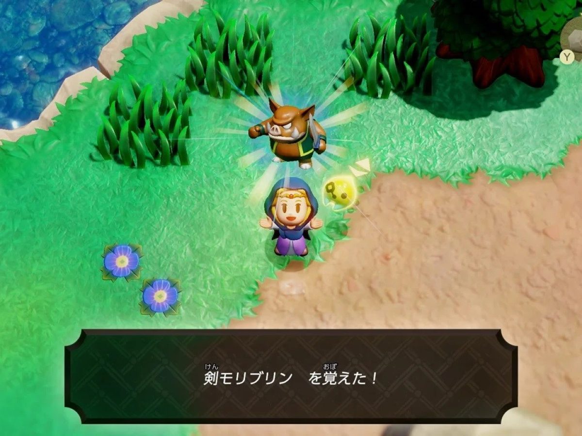 Switch ゼルダの伝説 知恵のかりもの - Nintendo Switch最高