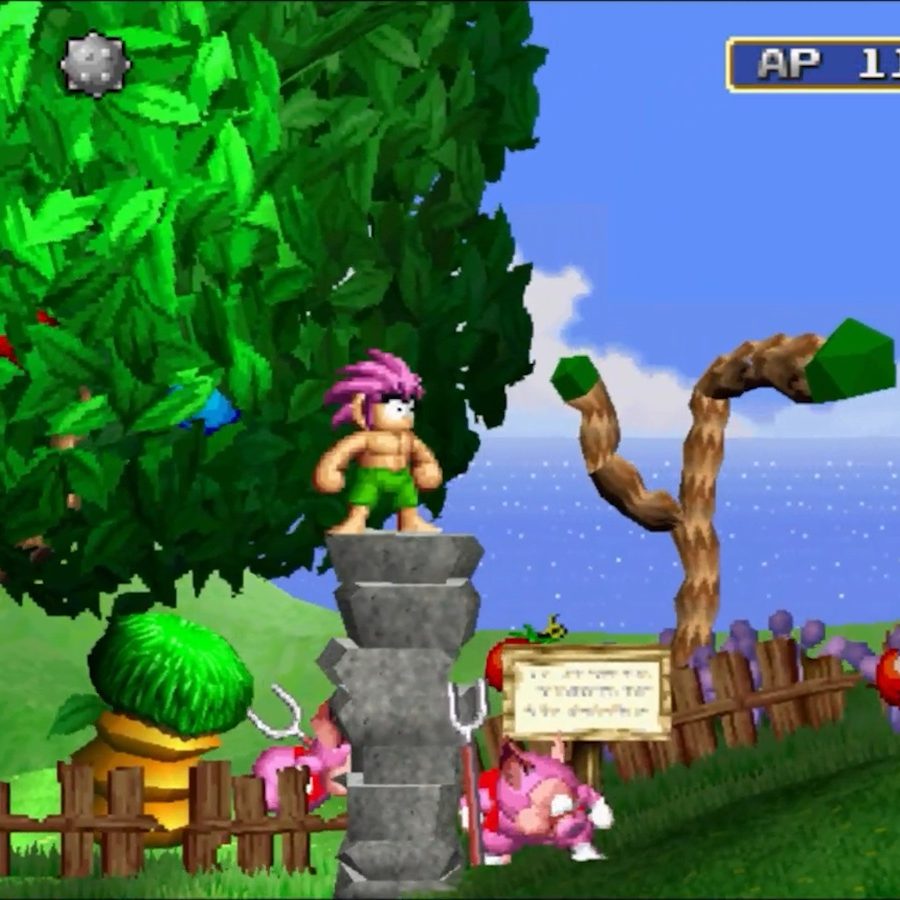 20250717-349595-header-900x900.jpg