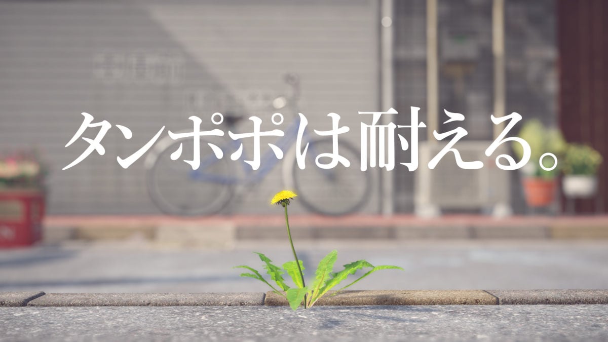 タンポポは耐える 画面1