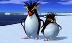 faaast-penguin-20250710-348730-header