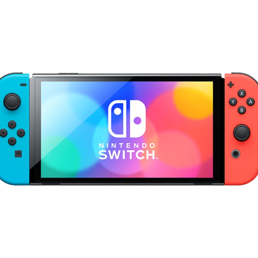 Nintendo Switch - 【動作確認済】Nintendo Switch  全て揃ってます　値下げ交渉可❗️ Nintendo Switch 初期型 動作確認済 2017年製 任天堂公式で