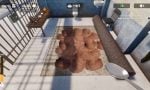prison-escape-simlator-dig-out-20250729-350969-header