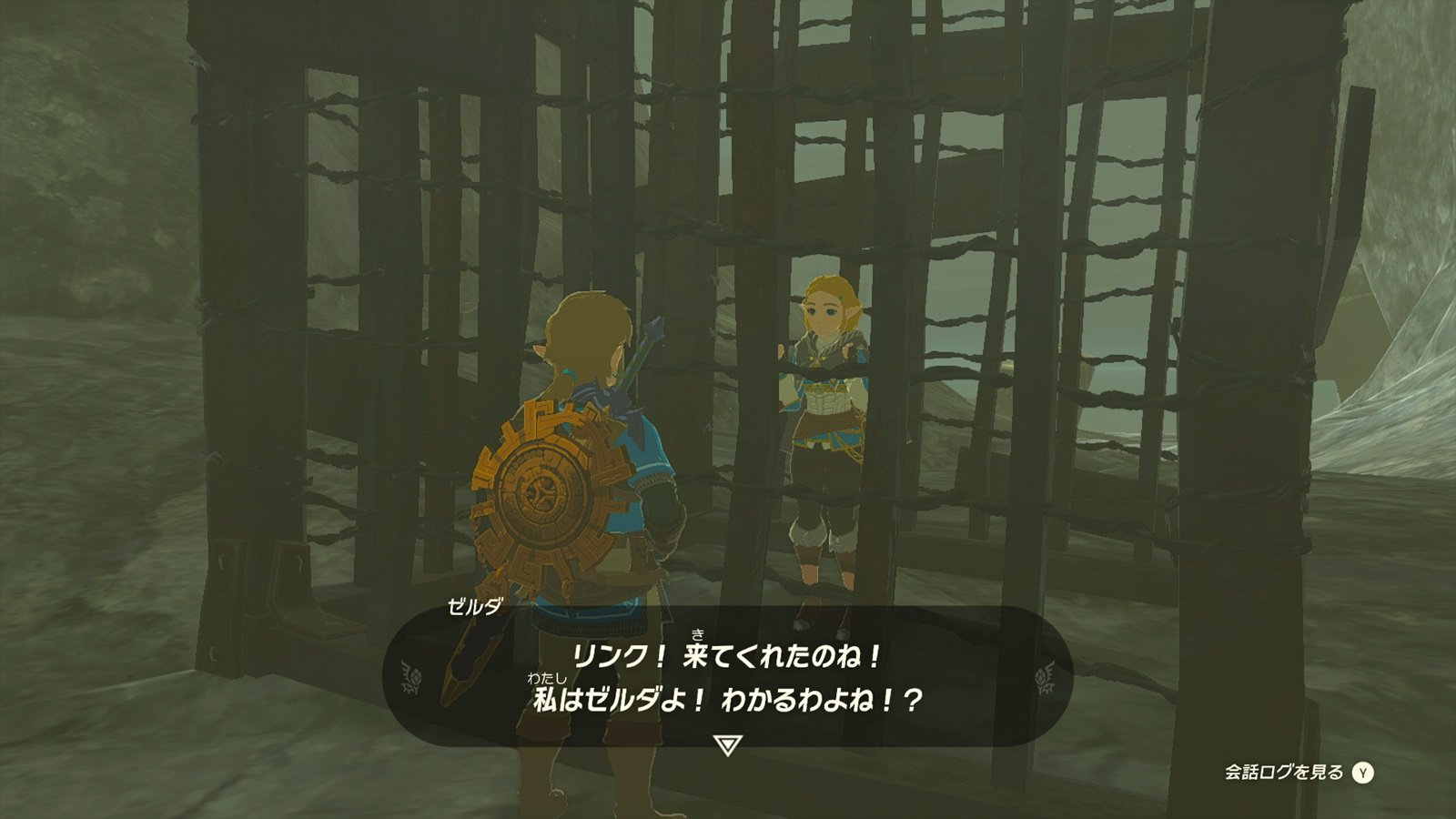 ゼルダの伝説 ティアーズ オブ ザ キングダム