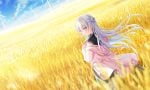 air-anemoi-20250818-353924-header