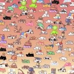 bongo-cat-20250812-353043-header