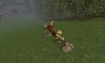 cheese-rolling-20250822-354617-header