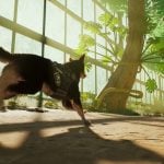 barkour-20250926-359315-header