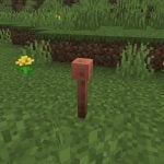 minecraft-20250902-356124-header