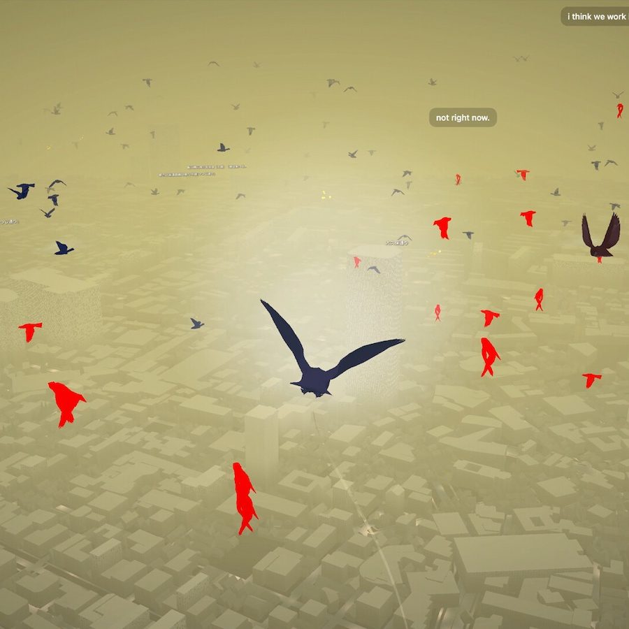pigeon-a-love-story-20250919-