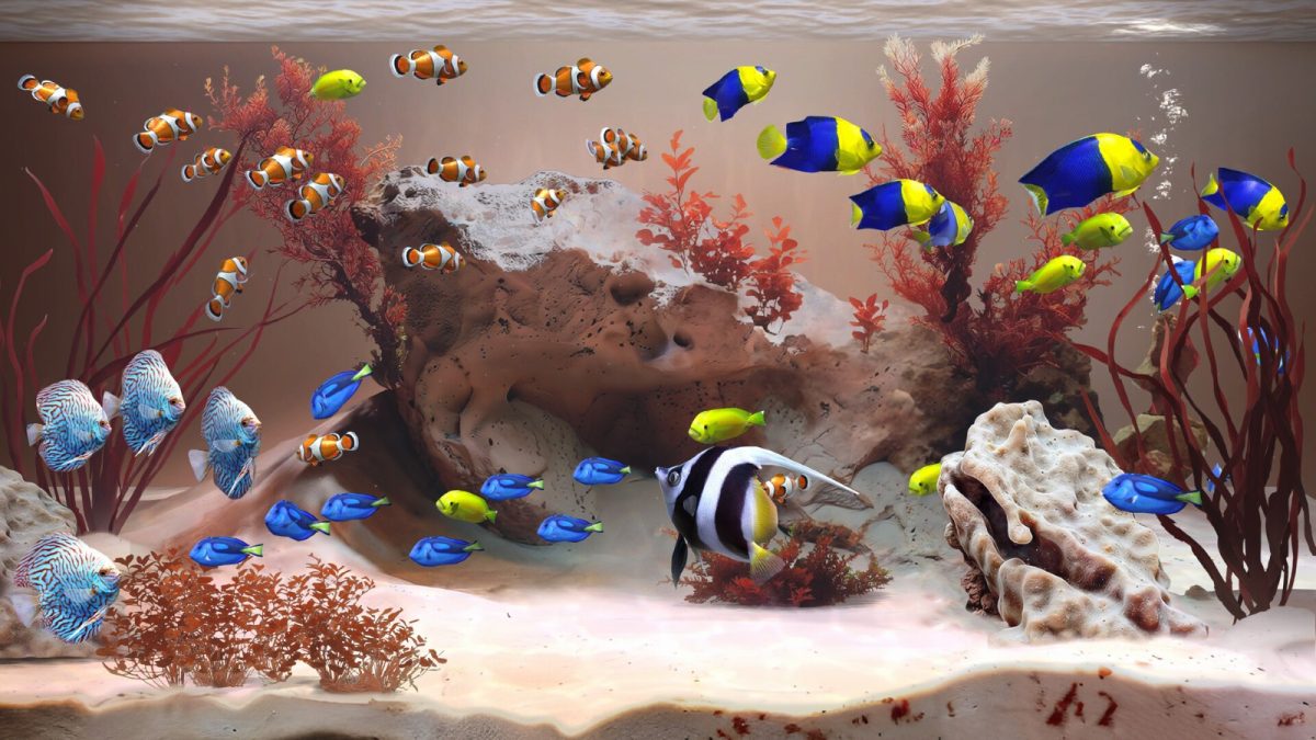 お世話要らず・まったり水槽鑑賞シム『Zen Aquarium』、高評価集め