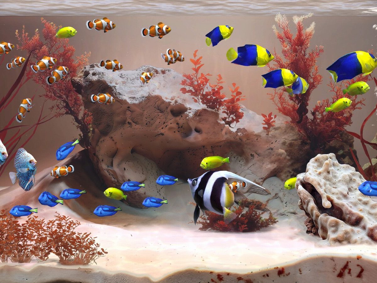 お世話要らず・まったり水槽鑑賞シム『Zen Aquarium』、高評価集め