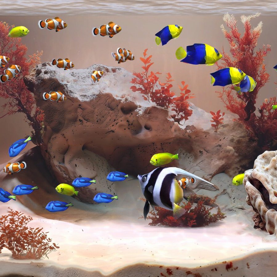 お世話要らず・まったり水槽鑑賞シム『Zen Aquarium』、高評価集め