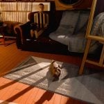 異変撮影サイコホラー『The 18th Attic』来年2月2日発売へ。カメラで異変を消去する屋根裏密室ループ、ときどきネコを触って和む the-18-th-attic-20251216-371332-header