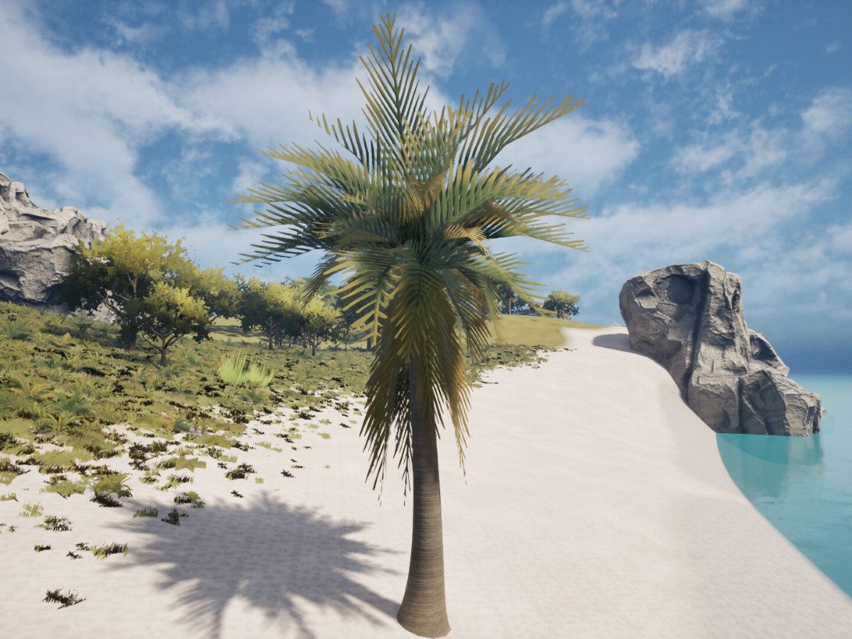 ヤシの木◆早いもの勝ち◆ ヤシの木になってただじっとするゲーム『Palm Simulator 2』発表。なぜ