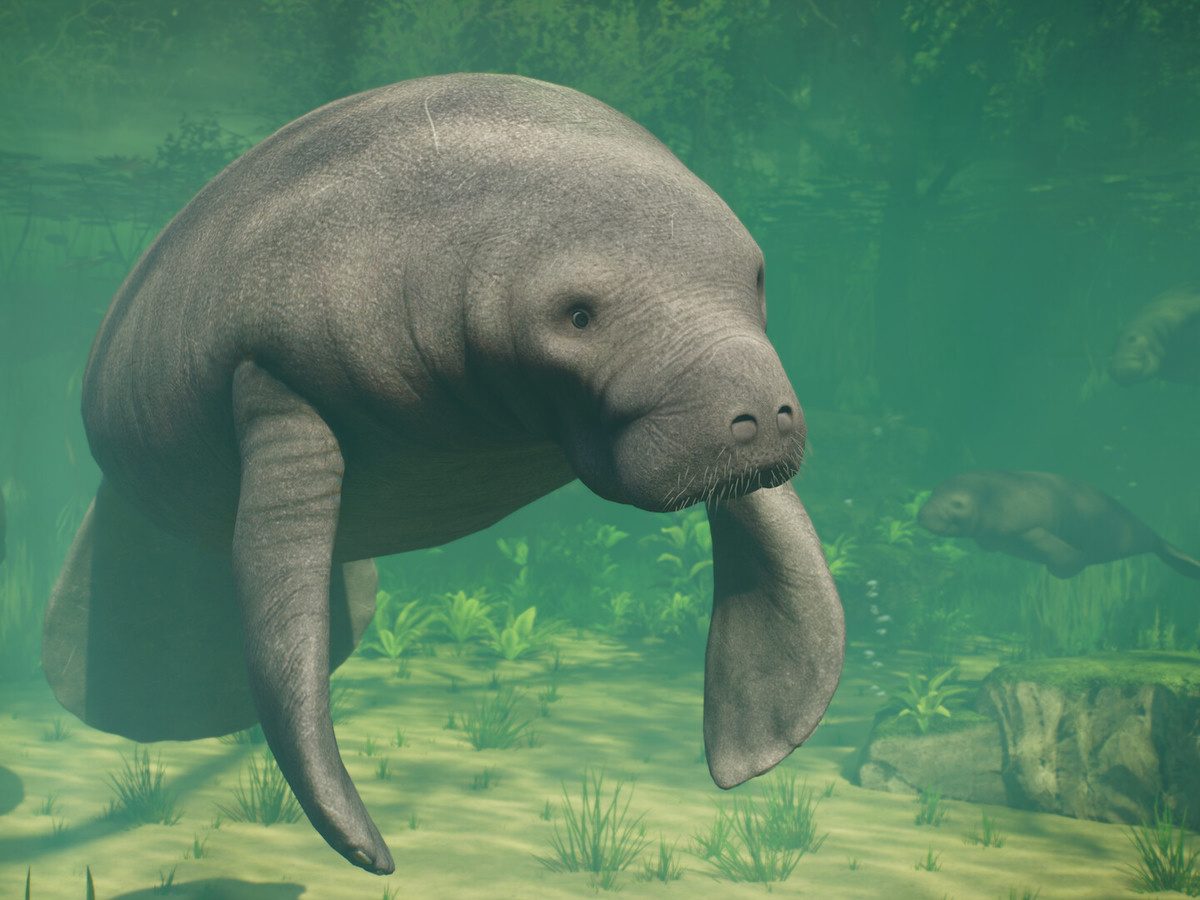 動物園経営シム『プラネット ズー 2』、Steam同接4万5000人の好発進